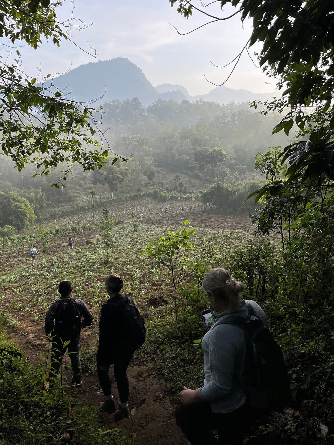 Hikers walking the Indian Nose trail through coffee and maize fields, with forested hills behind